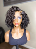 Burmese Curly Bob